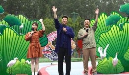 合肥作家爆料事件视频最新,揭秘背后真相与争议