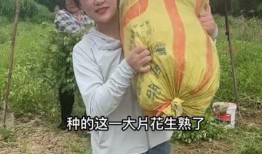 樊小慧村里人最新爆料,揭秘背后惊人真相